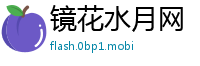 镜花水月网